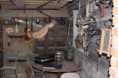 /album/fotogaleria2/img-5775-jpg/